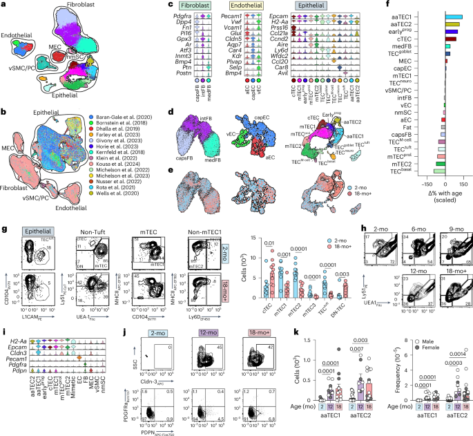 Age-related epithelial defects limit thymic function and regeneration