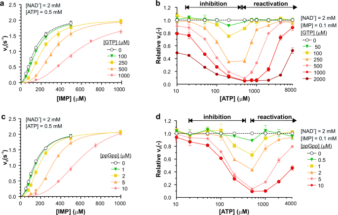 Deciphering the allosteric regulation of mycobacterial inosine-5'-monophosphate dehydrogenase.