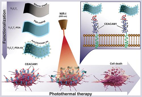 MXene-Polydopamine-antiCEACAM1 Antibody Complex as a Strategy for Targeted Ablation of Melanoma.