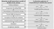 Dynamic Capabilities for the Twin Transformation Climb: A Capability Maturity Model