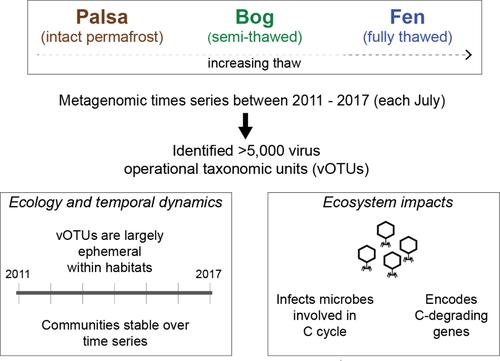 Virus ecology and 7-year temporal dynamics across a permafrost thaw gradient