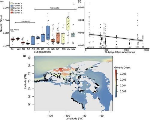 Assessing the risk of climate maladaptation for Canadian polar bears