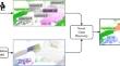 Novel Class Discovery Meets Foundation Models for 3D Semantic Segmentation