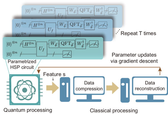 Information compression via hidden subgroup quantum autoencoders