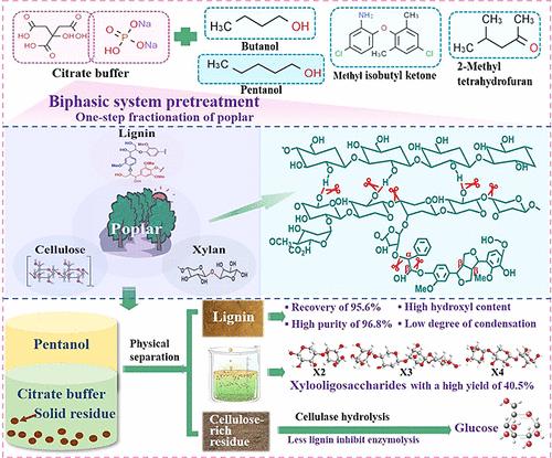 Toward Full Poplar Utilization: Understanding of Coproducing Xylo-Oligosaccharides, Lignin, and Glucose through Citrate Buffer/Hydrophobic Organosols Biphasic Pretreatment