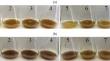 Analysis of the Reducing Activity of Strains of the Genus Shewanella Isolated from Various Natural Sources Using the Example of the Biosynthesis of Silver Nanoparticles