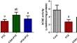 Neuroprotective role of chlorogenic acid against hippocampal neuroinflammation, oxidative stress, and apoptosis following acute seizures induced by pentylenetetrazole.