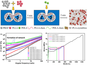 The effect of poly(D-lactide) on the properties of poly(butylene adipate-co-terephthalate)/poly(L-lactide) blends with stereocomplex crystallites formed in situ