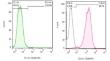 Conditioned media from human adipose tissue-derived mesenchymal stem cells: potential effect on peripheral blood mononuclear cells in co-culture with HeLa cell line