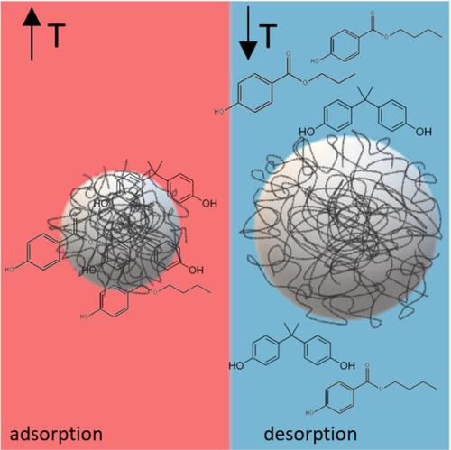 Microgels based on thermo-responsive poly(N-isopropylacrylamide) as sorbent of bisphenol A and parabens in water