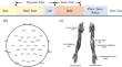 Global synchronization of functional corticomuscular coupling under precise grip tasks using multichannel EEG and EMG signals