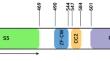 Emerging roles of the chromatin remodeler MORC2 in cancer metabolism.