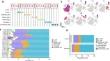 Consensus clustering and development of a risk signature based on trajectory differential genes of cancer-associated fibroblast subpopulations in colorectal cancer.