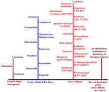 Semisynthetic phytochemicals in cancer treatment: a medicinal chemistry perspective