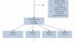 Evaluating EHS parastomal hernia classification for surgical planning: a retrospective analysis of 160 consecutive cases in a single center.