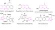 Design, Synthesis, and Antibacterial Evaluation of Novel Coumarin Based 1,2,3-Triazole Derivatives