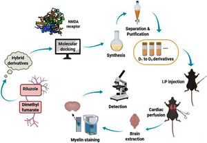 Hybrid derivatives containing dimethyl fumarate and benzothiazole scaffolds for the potential treatment of multiple sclerosis; in silico & in vivo study.