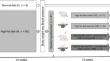 Exercise Enhances Anti-contractile Effects of PVAT Through Endogenous H<sub>2</sub>S in High-Fat Diet-Induced Obesity Hypertension.