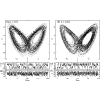 Involution symmetry quantification using recurrences