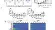 Ketone bodies rescue T cell impairments induced by low glucose availability.