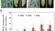 Unraveling jasmonate-mediated plant immunity against green peach aphid (Myzus persicae) in peach: an integrated transcriptomic and RNA sequencing approach