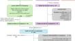 Rethinking Tuberculosis Morbidity Quantification: A Systematic Review and Critical Appraisal of TB Disability Weights in Cost-Effectiveness Analyses.