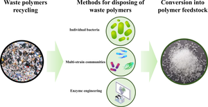 Biodegradation: the best solution to the world problem of discarded polymers.