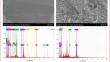 Waste controls waste: fluoride adsorption behavior and mechanism on modified phosphogypsum biochar