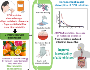 Strategy to Improve the Oral Pharmacokinetics of Cyclin-Dependent Kinase 4/6 Inhibitors: Enhancing Permeability and CYP450 Inhibition by a Natural Bioenhancer.