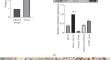 esiRNA Mediated Silencing of HIF1A Regulates Migration, Invasion, Apoptosis, and Proliferation of MDA-MB-231 Cells