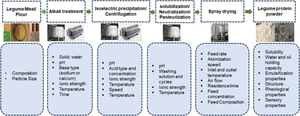 Insight into the Effect of Extraction and Spray Drying Conditions on the Nutritional and Techno-Functional Properties of Legume Protein Powder: A Review