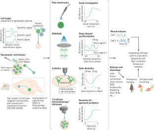 Identifying dysfunctional cell types and circuits in animal models for psychiatric disorders with calcium imaging.