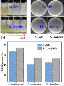 Fabrication of Highly Stable Polyurushiol-Decorated Silver Nanoparticles and Evaluation of Their Antibacterial and Anti-Microalgae Activities