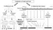 Effects of natural environments on drug contents in nails: comparison of drug residual rates between nails and hair to determine the drug-use history of corpses in unnatural death cases using micro-segmental analysis.