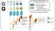 Enhancing Two-Year Recurrence-Free Survival Prediction in Non-Small Cell Lung Cancer (NSCLC) Patients Using Tumor-Centric Attention Network (TCA-Net)