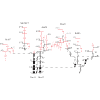 High-spin states and possible chirality in the odd−ACs133 nucleus