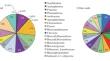 First Assessment of Soil Cover Pollution with Polycyclic Aromatic Hydrocarbons in the City of Ulan-Ude