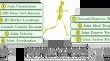 Using musculoskeletal models to generate physically-consistent data for 3D human pose, kinematic, dynamic, and muscle estimation