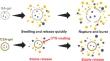 Long-Acting Sustained-Release Hydrogel for Soil-Borne Pathogen Control in Chinese Herbal Medicine