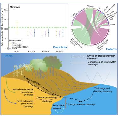 Climate change decreases groundwater carbon discharges in global tidal wetlands