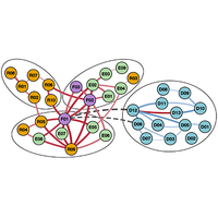 Network analysis of graduate program support structures through experiences of various demographic groups