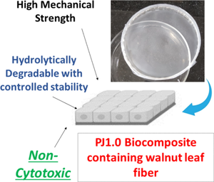 Cell viability assessment and physicomechanical characterization of Juglans regia leaf fiber-reinforced poly(hydroxybutyrate) films for biomedical uses