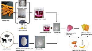 Sappan wood extraction for intelligent gelatin packaging films: a review on implementing green packaging solutions