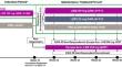 Patients with Moderate-to-Severe Atopic Dermatitis Maintain Stable Response with No or Minimal Fluctuations with 1 Year of Lebrikizumab Treatment.