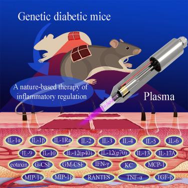 A nature-based solution for regulating the inflammatory phase of diabetic wound healing using a cold atmospheric plasma