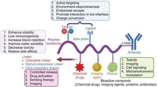 Polymer-drug and polymer-protein conjugated nanocarriers: Design, drug delivery, imaging, therapy, and clinical applications.