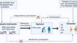 Exploring the causal association between frailty index with the common types of arthritis: a Mendelian randomization analysis