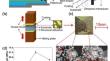 Cohesive strength of plasma sprayed Ni-10wt.%Al coatings enhanced by ultrasonic and depended on the power density