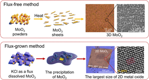 KCl acts as a flux to assist the growth of sub-millimeter-scale metallic 2D non-layered molybdenum dioxide