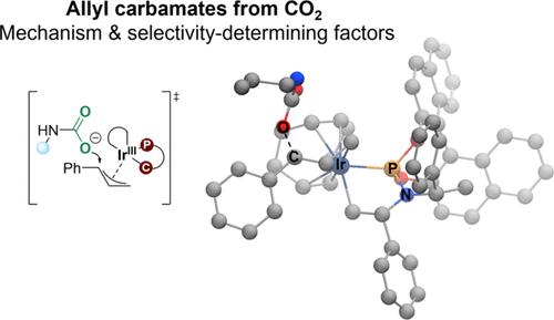 Computational Study of the Ir-Catalyzed Formation of Allyl Carbamates from CO2